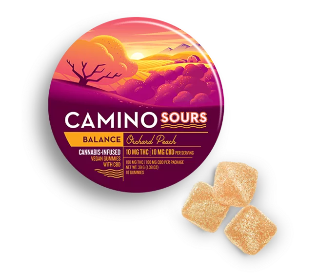 Camino Sours Orchard 10-10 CBD Sleep